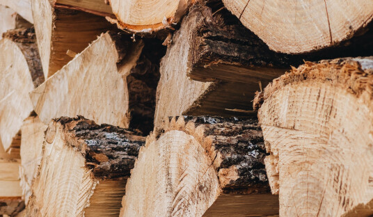 Životnost dřevostaveb