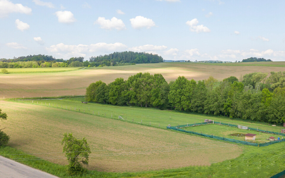Cena 1 195 000 Kč - 800 m2